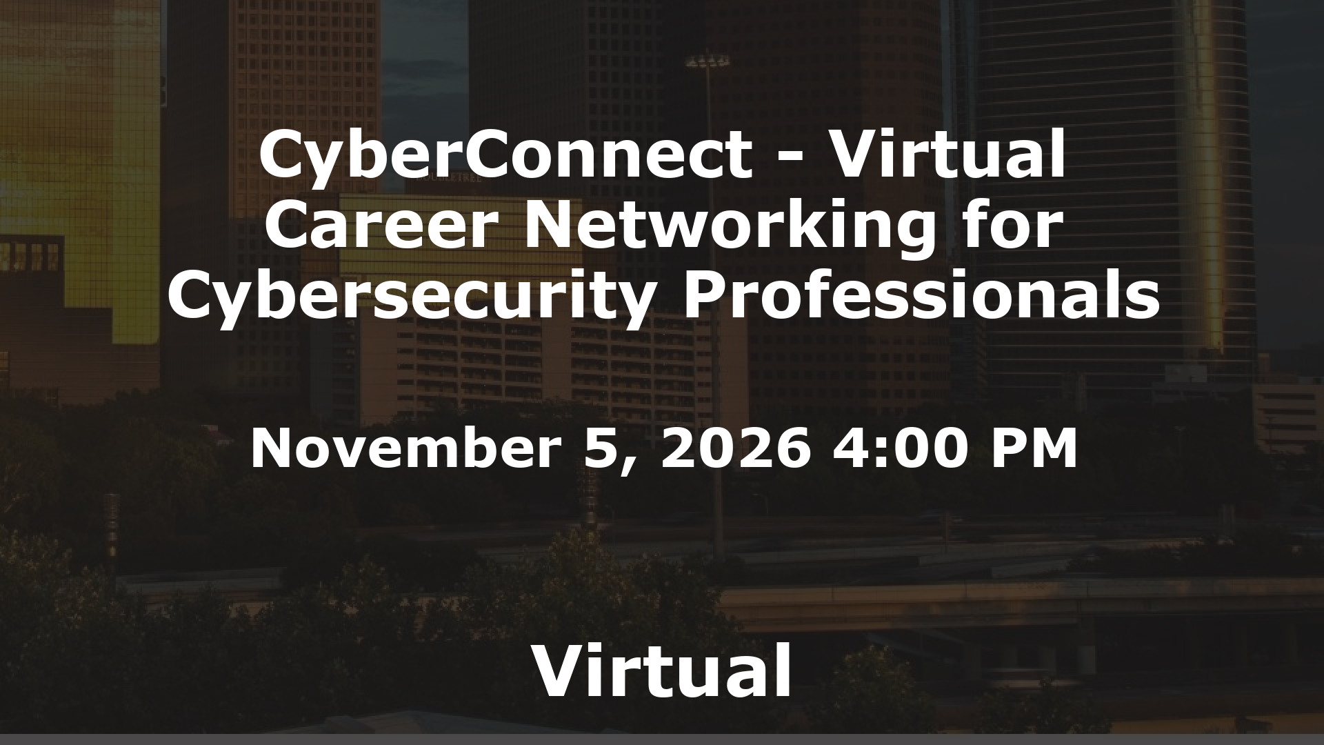 CyberConnect - Virtual Career Networking for Cybersecurity Professionals event image
